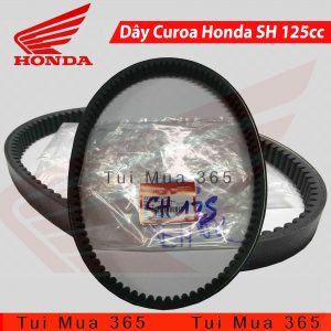 Dây Curoa Honda SH 125cc ( Hãng Honda )