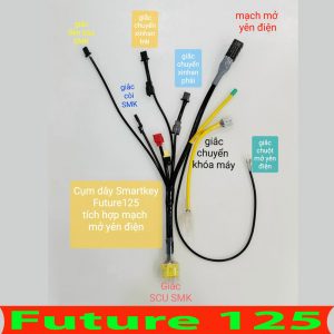 Bộ Dây Điện Khóa Smartkey Future 125 tích hợp mạch mở yên